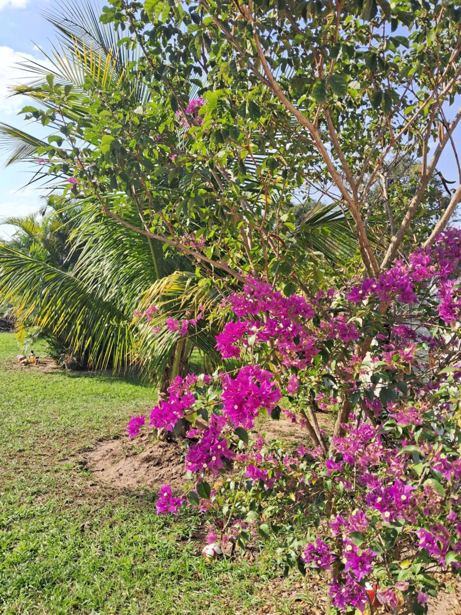 Villa Pouso Zen Araruama Exterior foto